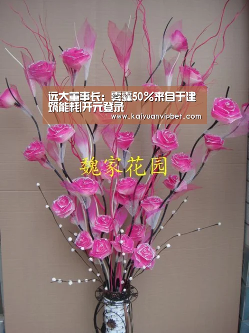 远大董事长:雾霾50%来自于建筑能耗|开元登录(图3) 开元直播