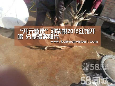 “开元登录”邓紫棋2015红馆开唱 分享搞笑照片(图1) 开元电竞